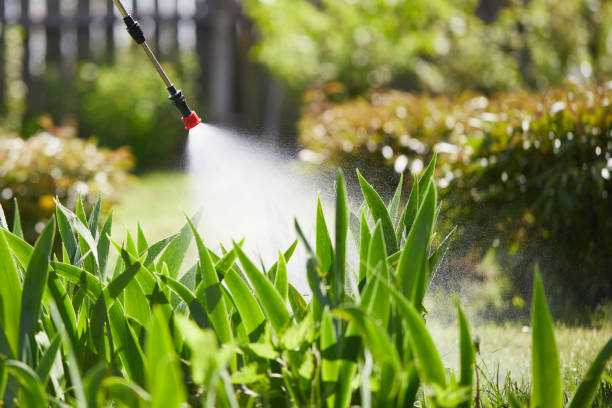 24/7 Emergency Termite Control experts in Midtown, TN